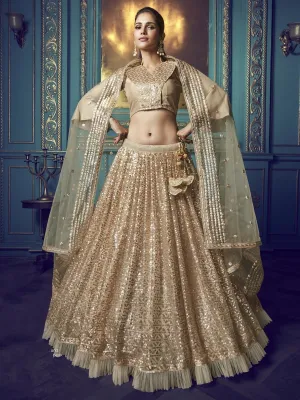 Beige Net Wedding Lehenga Choli with Dupatta