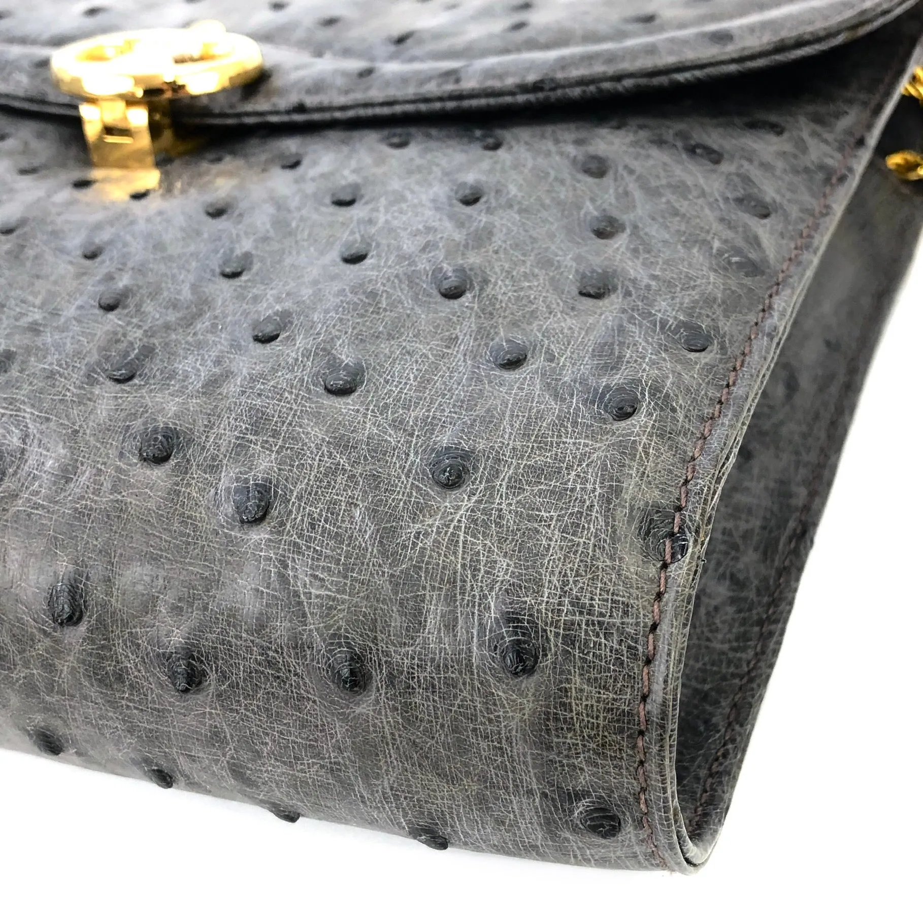 CELINE Blason Triomphe Ostrich Two way Chain Shoulder Bag Clutch bag Gray Old Celine Vintage vybyhv