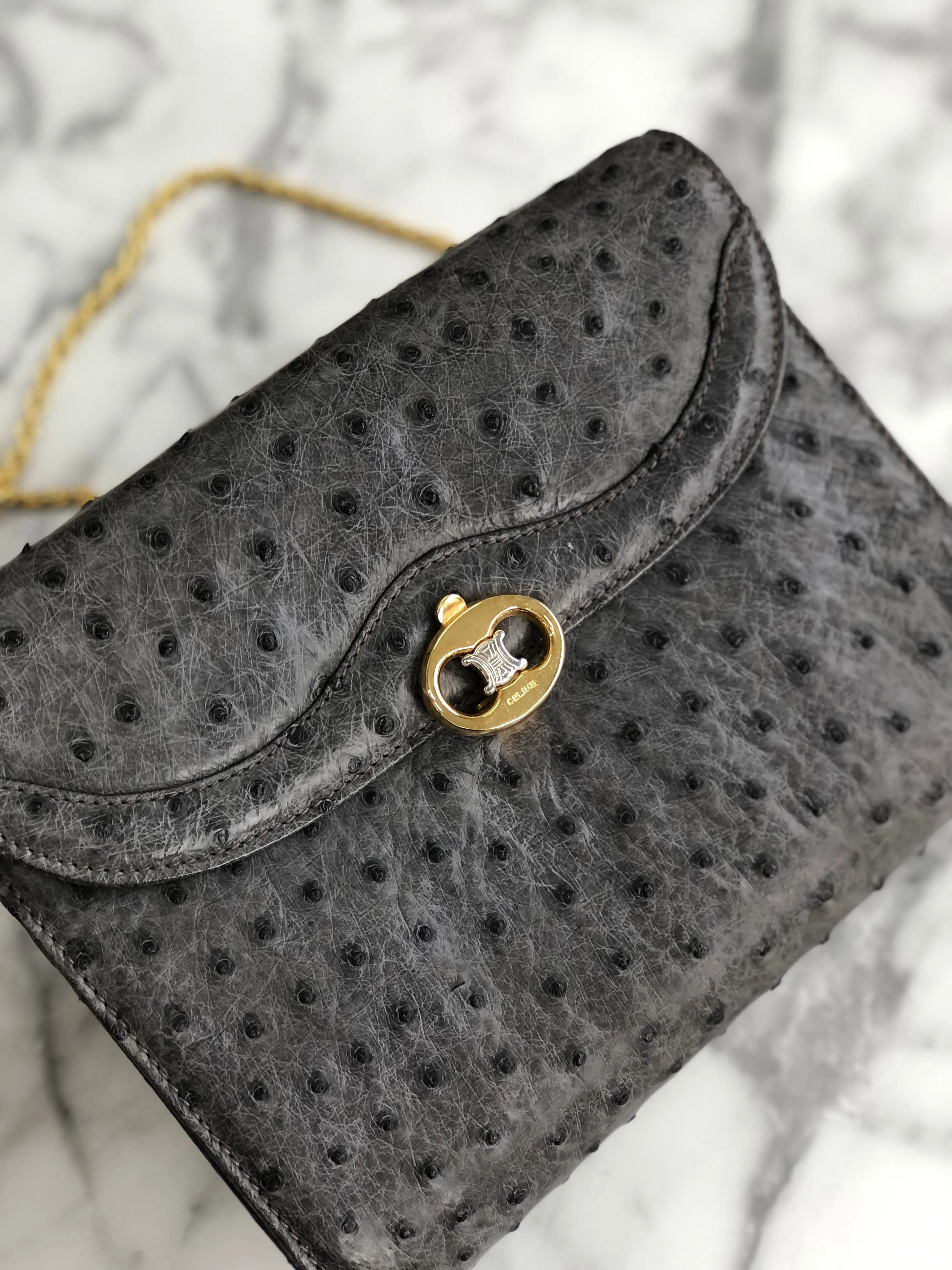 CELINE Blason Triomphe Ostrich Two way Chain Shoulder Bag Clutch bag Gray Old Celine Vintage vybyhv