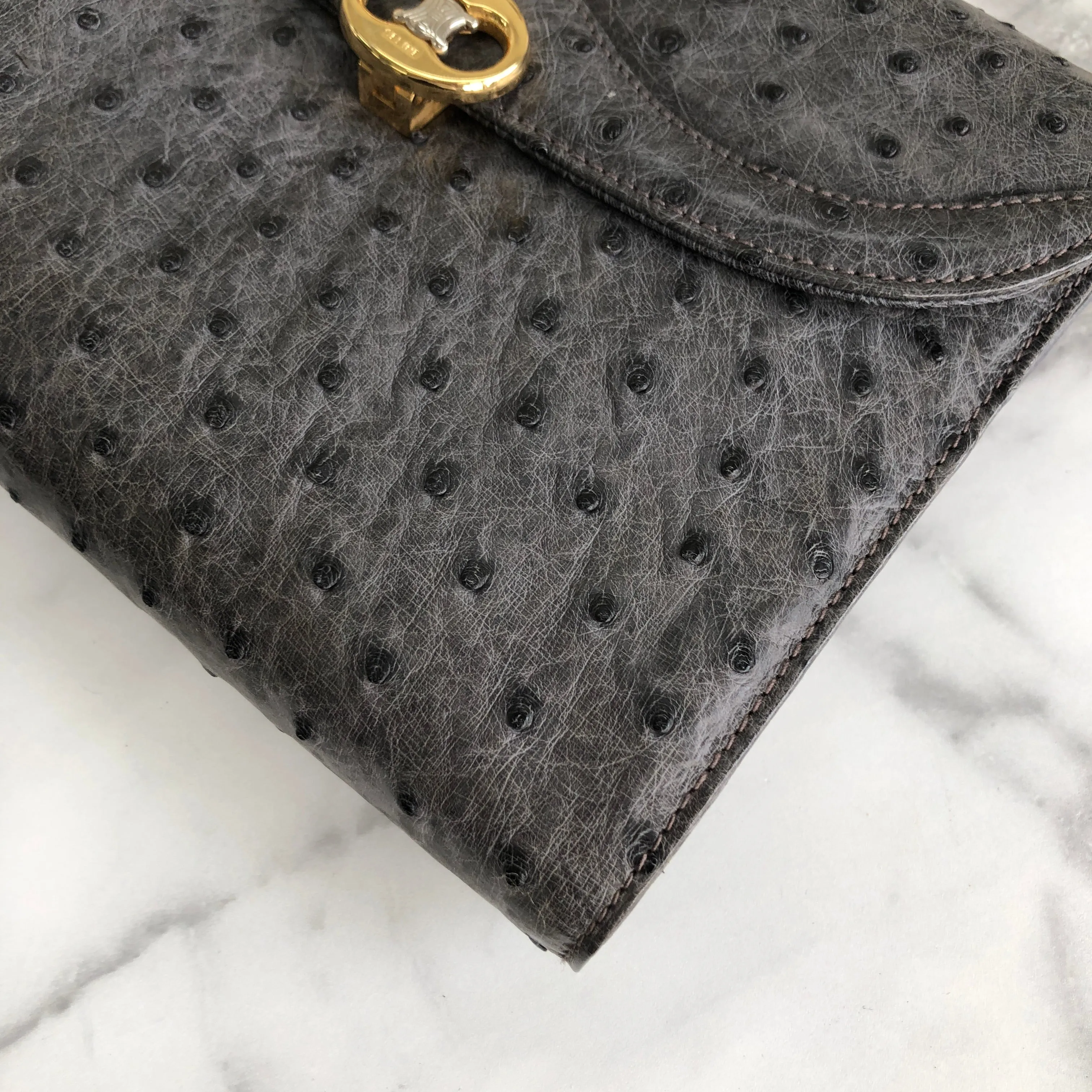 CELINE Blason Triomphe Ostrich Two way Chain Shoulder Bag Clutch bag Gray Old Celine Vintage vybyhv