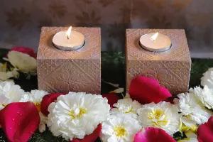 Elegant Blush Tealight Candle Holder Set of 2