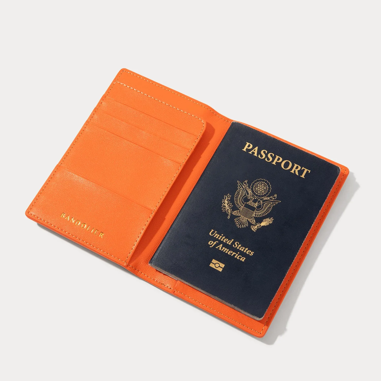 Passport Holder - Tan/Gold