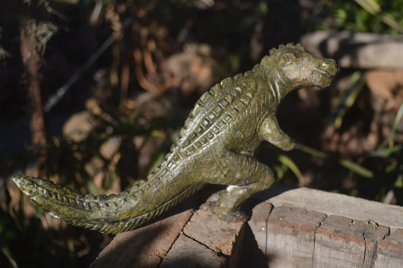 Polished Leopard Stone Dinosaur Carving x 1 From Zimbabwe