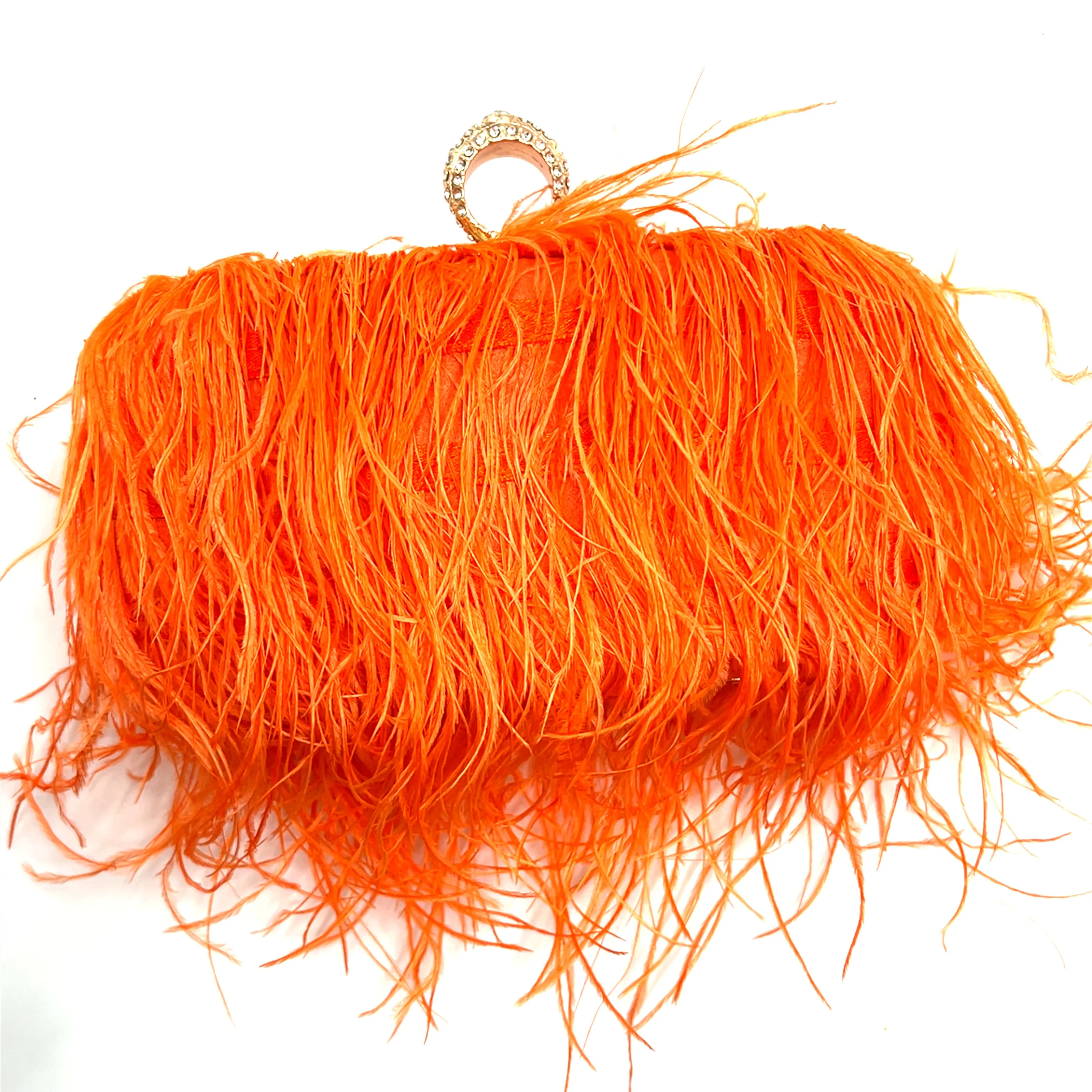 Vibrant Feather Evening Bag