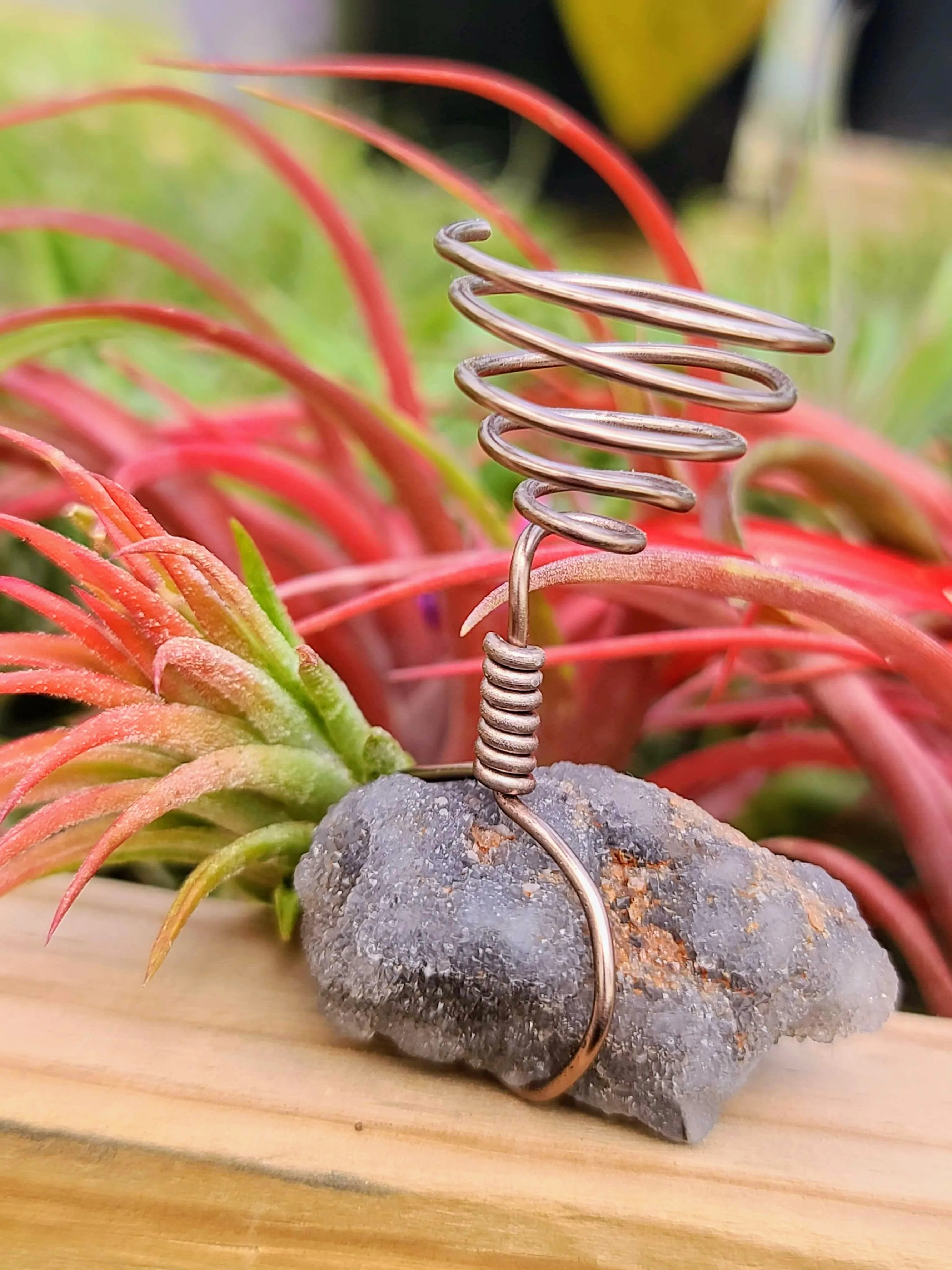 WYSIWYG Sphalerite Air Plant Holder with Ionantha Mexican